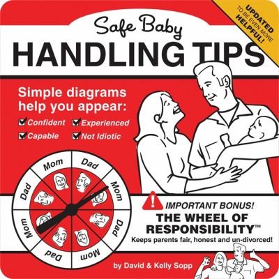 Safe Baby Handling Tips book cover