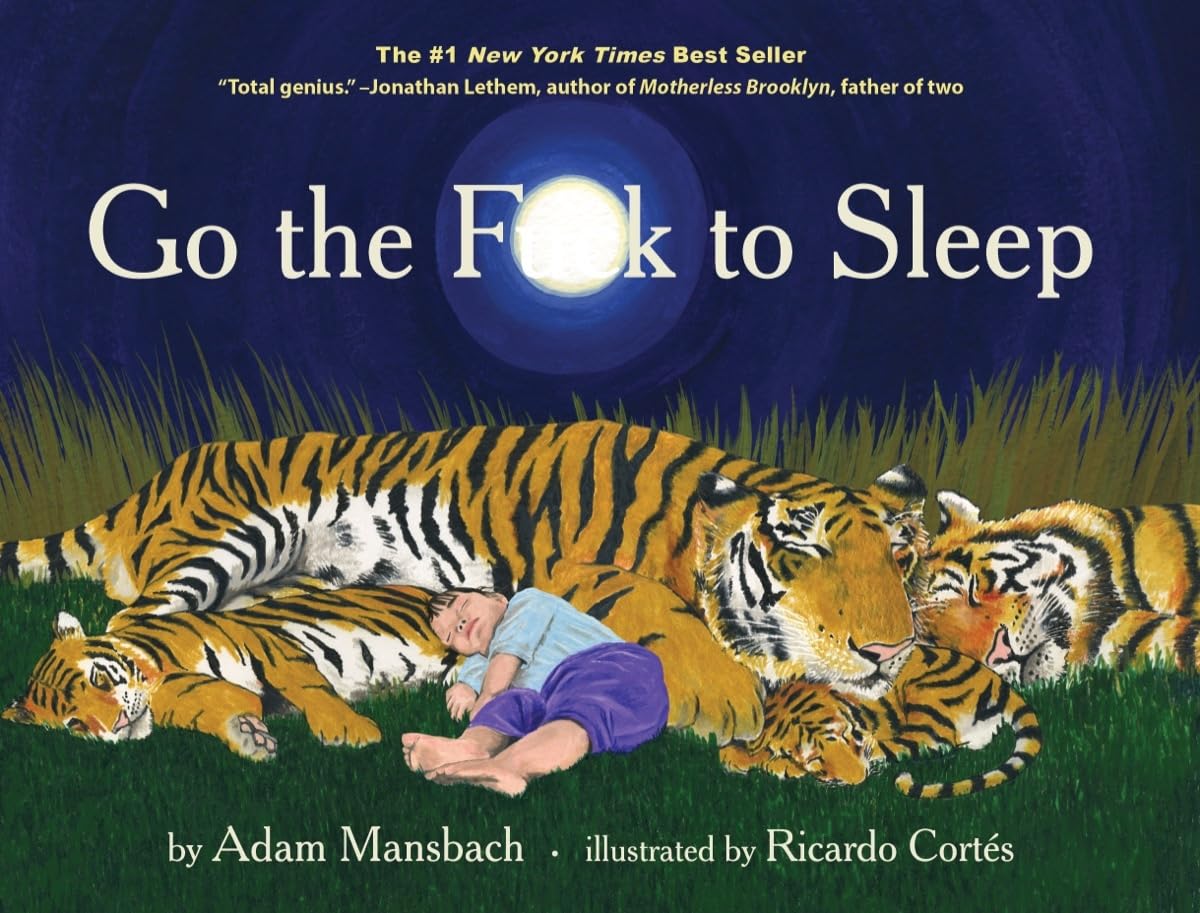 Go the F**k to Sleep book by Adam Mansbach — funny new parent gift book