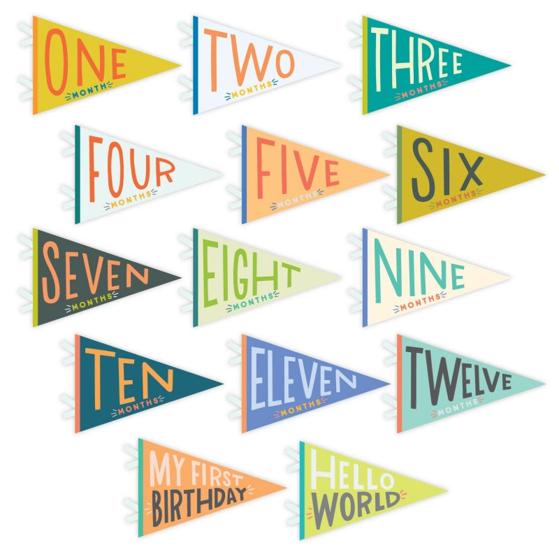 Lucy Darling Little Kaleidoscope Petit Milestone Pennants set of 14 colorful felt flags
